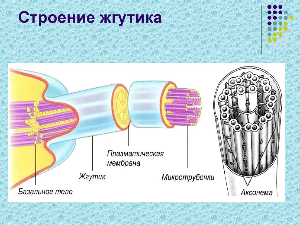 Схемы вышивок крестом картинки Схемы вышивок крестом картинки