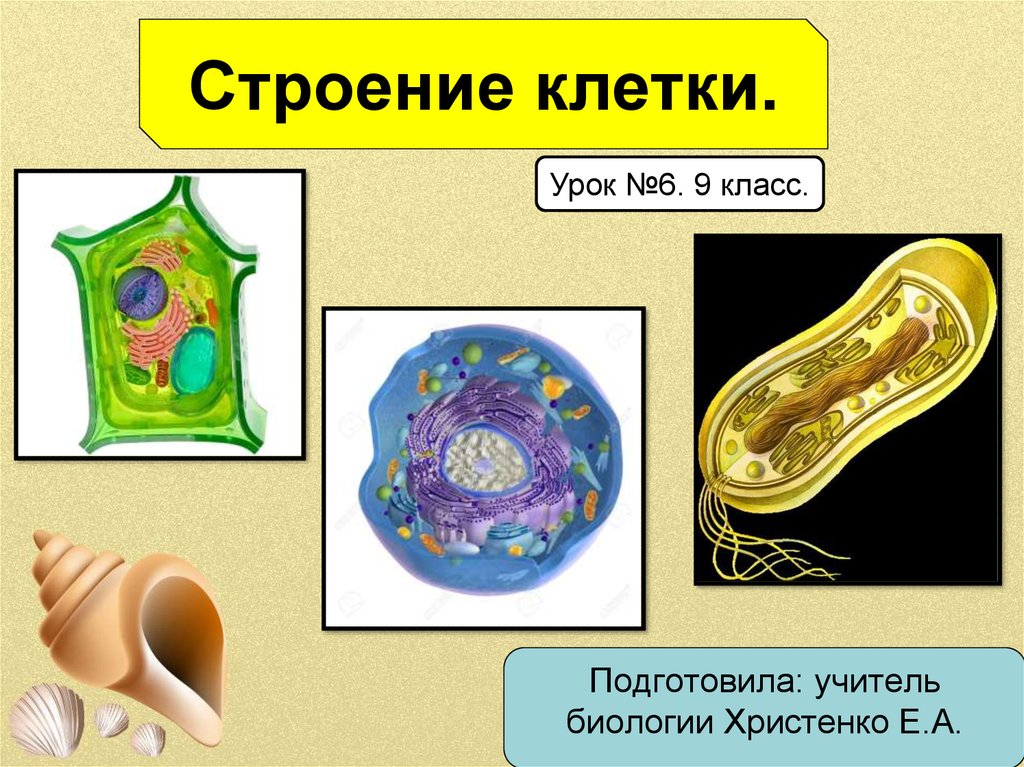 view x ray polarimetry