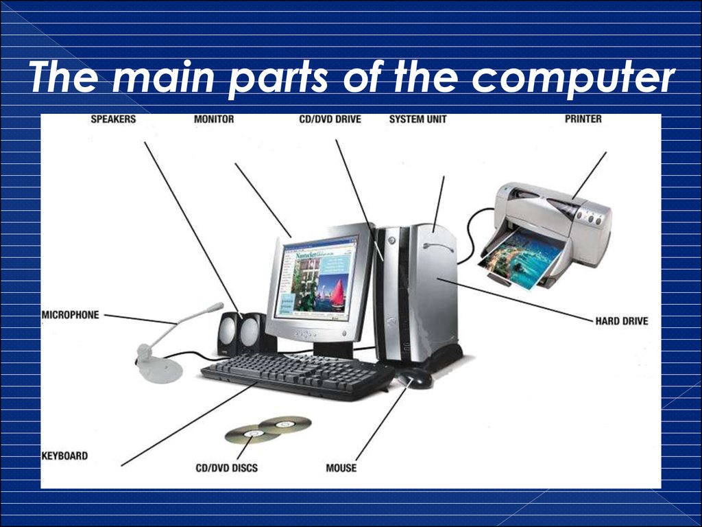 basic parts of computer monitor