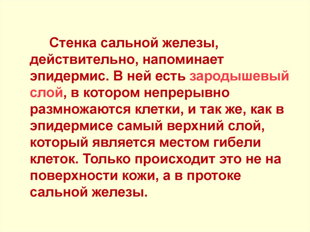 Клетка кожи ее строение и функции Клетка кожи ее строение и функции