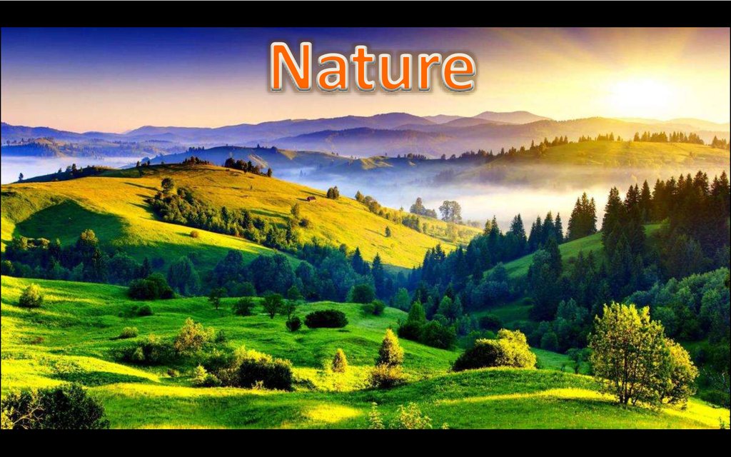 Nature