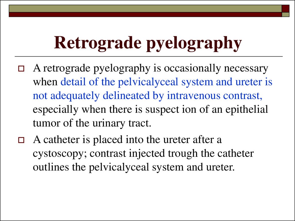 Investigation of the urinary system презентация онлайн