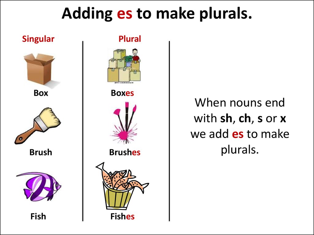 Adding Es Plural Worksheet