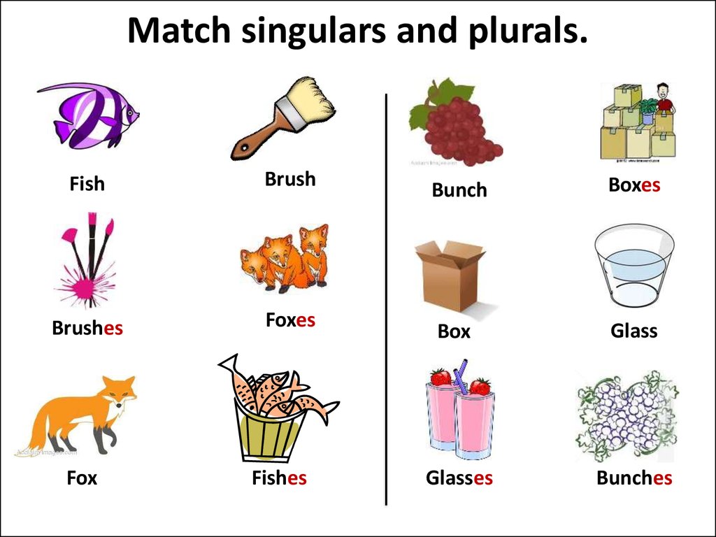 Singular And Plural Nouns