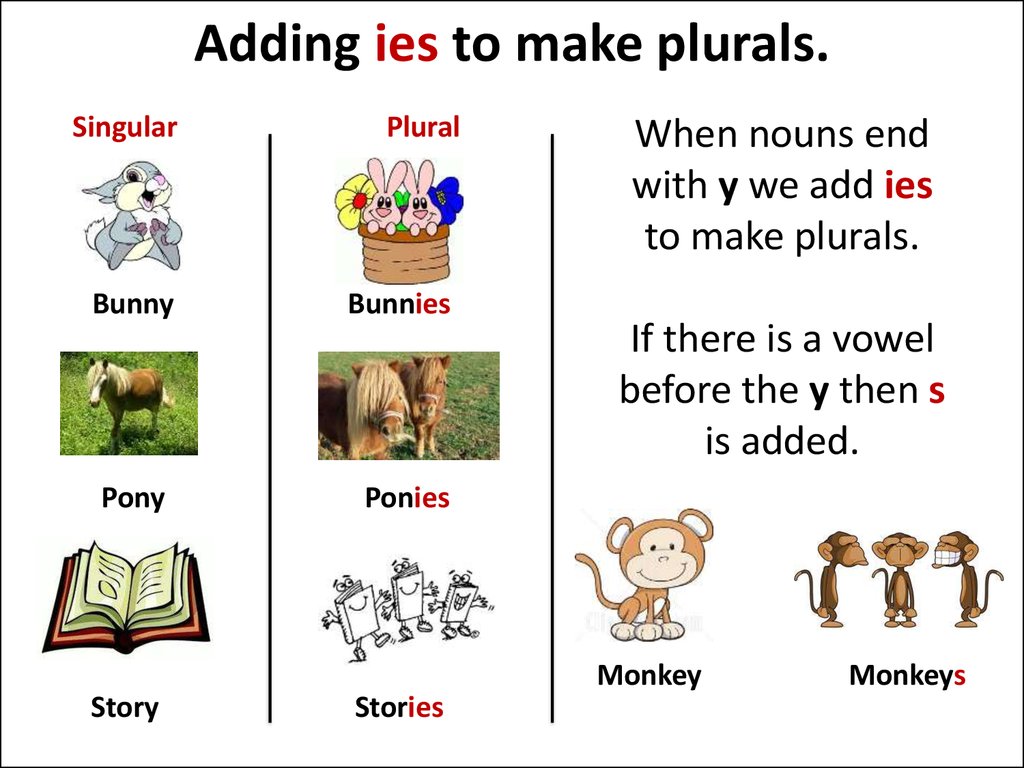 Singular and plural nouns - презентация онлайн