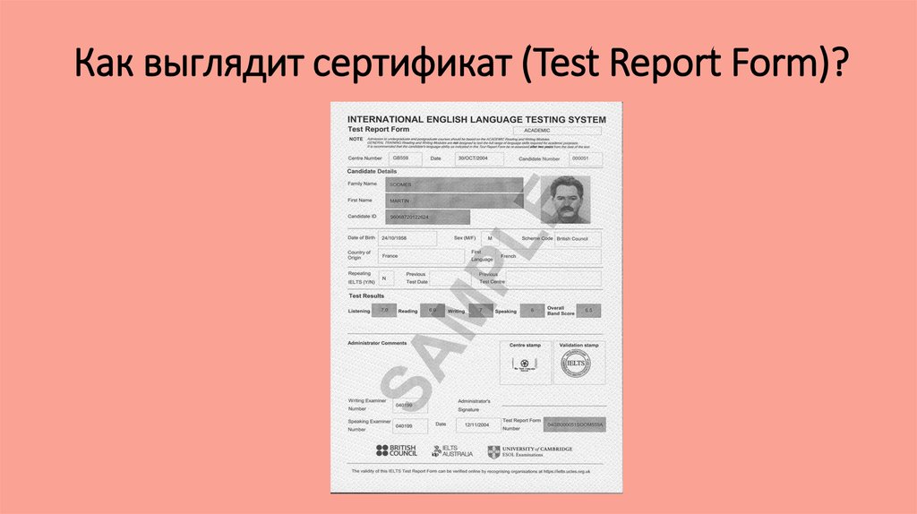 Что такое приглашения по английскому языку Приглашение на английском языке примеры Английский онлайн
