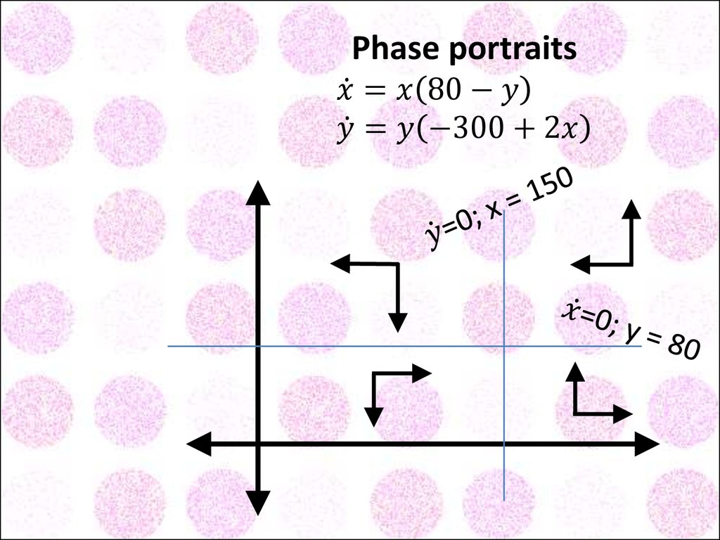 Phase portraits x ̇=x(80-y) y ̇=y(-300+2x)