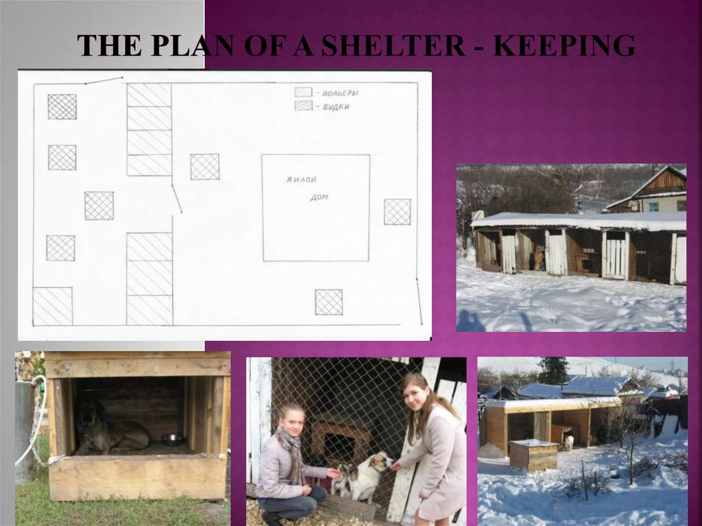The plan of a shelter - keeping