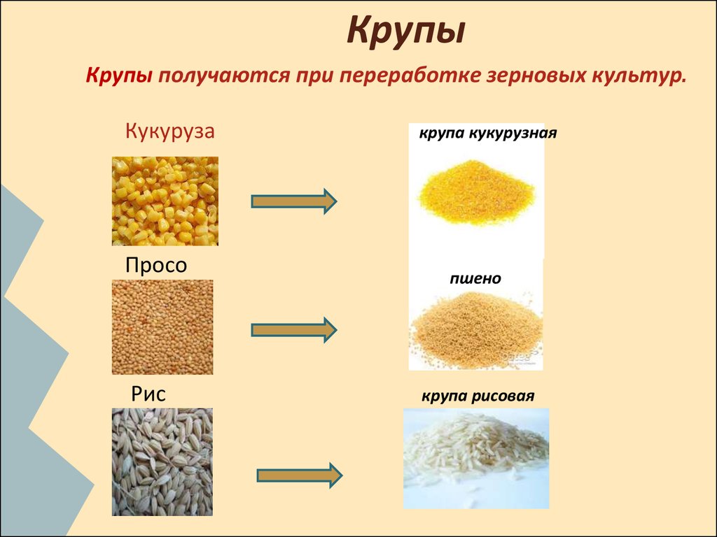 Название каш из разных круп с картинками