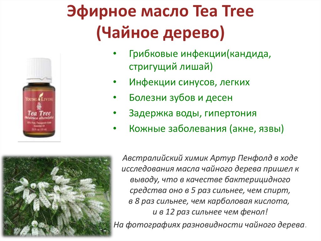 Эфирное масло Tea Tree (Чайное дерево)