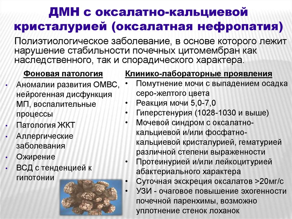 Диета При Иго Нефропатии 3 Класс