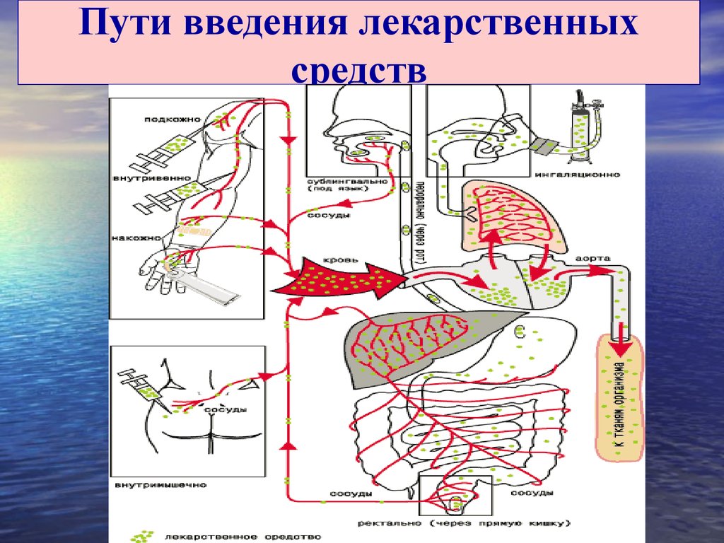 Способы введения лекарственных средств схема