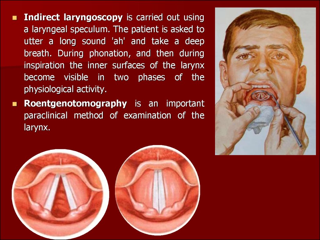 Clinical anatomy, physiology and methods of examination of the larynx