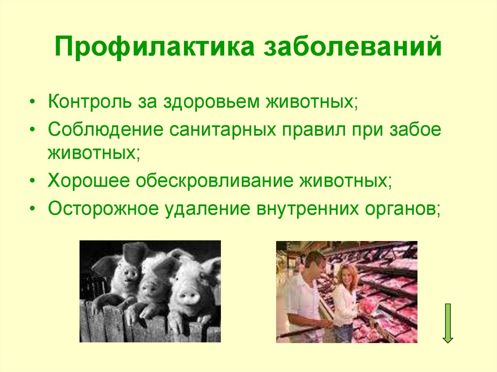 Аппликация на тему спорт для средней группы Аппликация на тему спорт для средней группы
