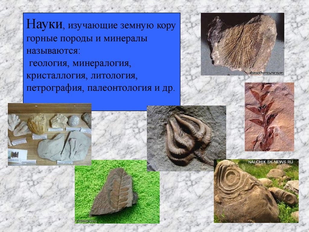 Науки, изучающие земную кору горные породы и минералы называются: геология, минералогия, кристаллогия, литология, петрография, палеонтолог