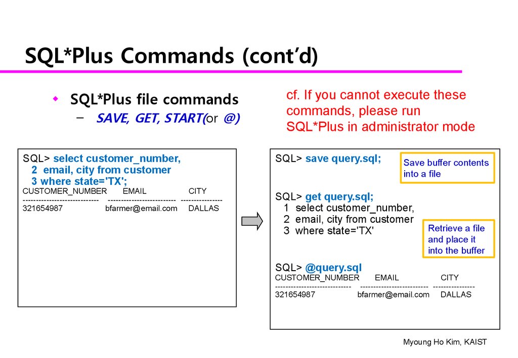 mysql run sql file