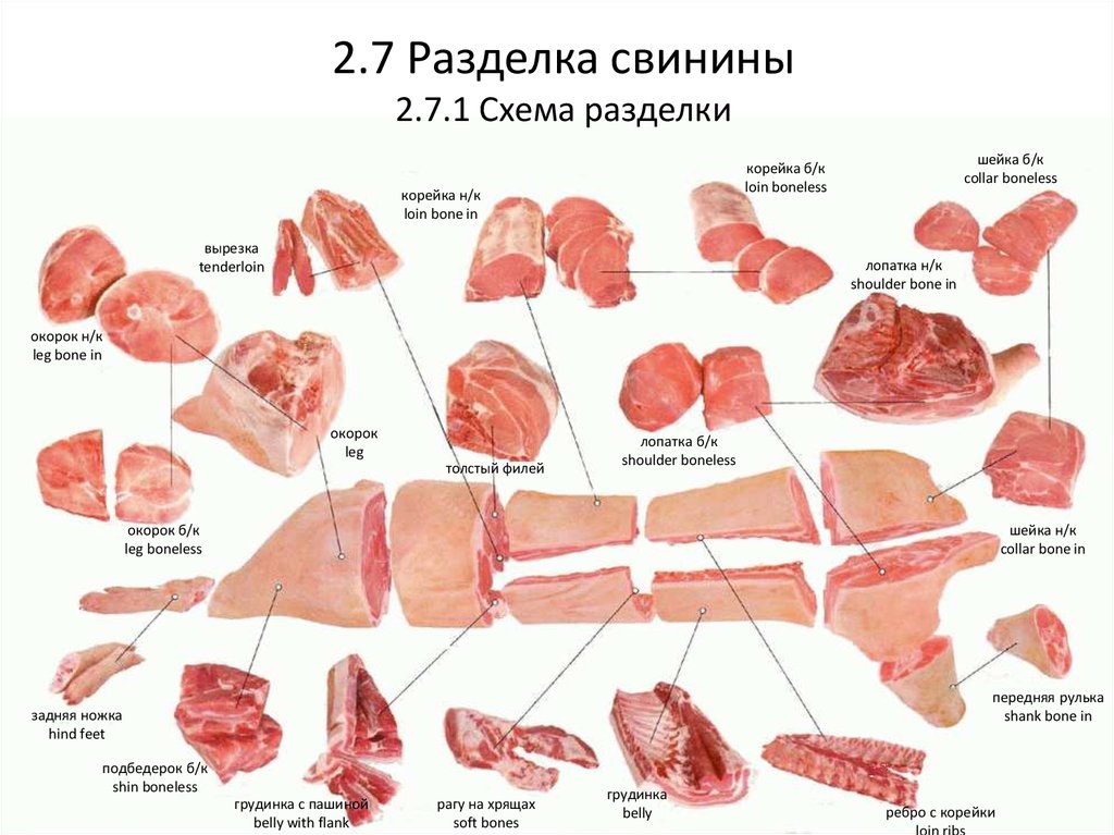 Как правильно разделать свинью пошагово схема видео