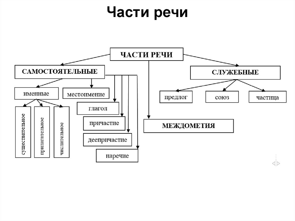 Проект галерея частей речи