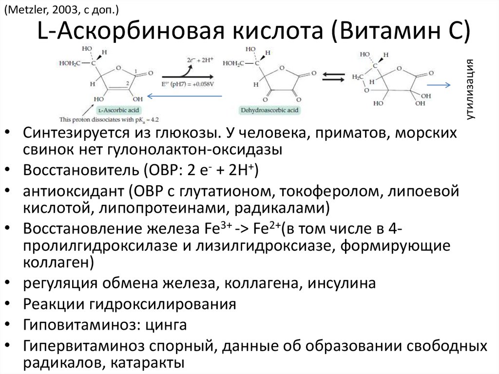 Рибитильную Часть В Молекуле Рибофлавина Можно Подтвердить
