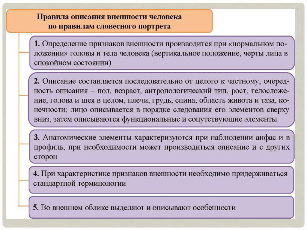 Описание Признаков Внешности Человека По Его Фотографии