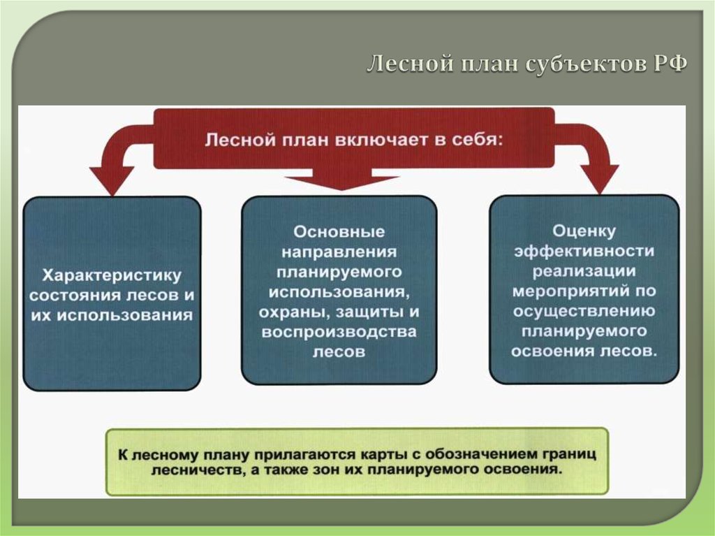 Лесной план субъектов РФ