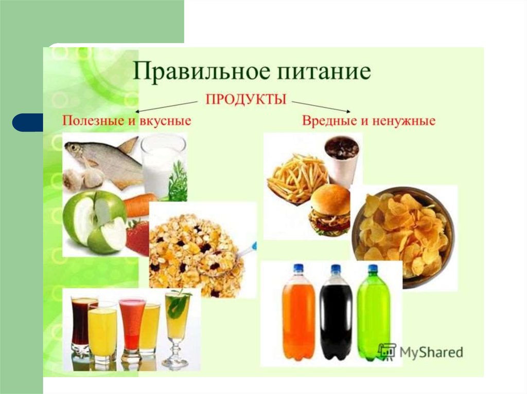 Полезные продукты картинки для проекта