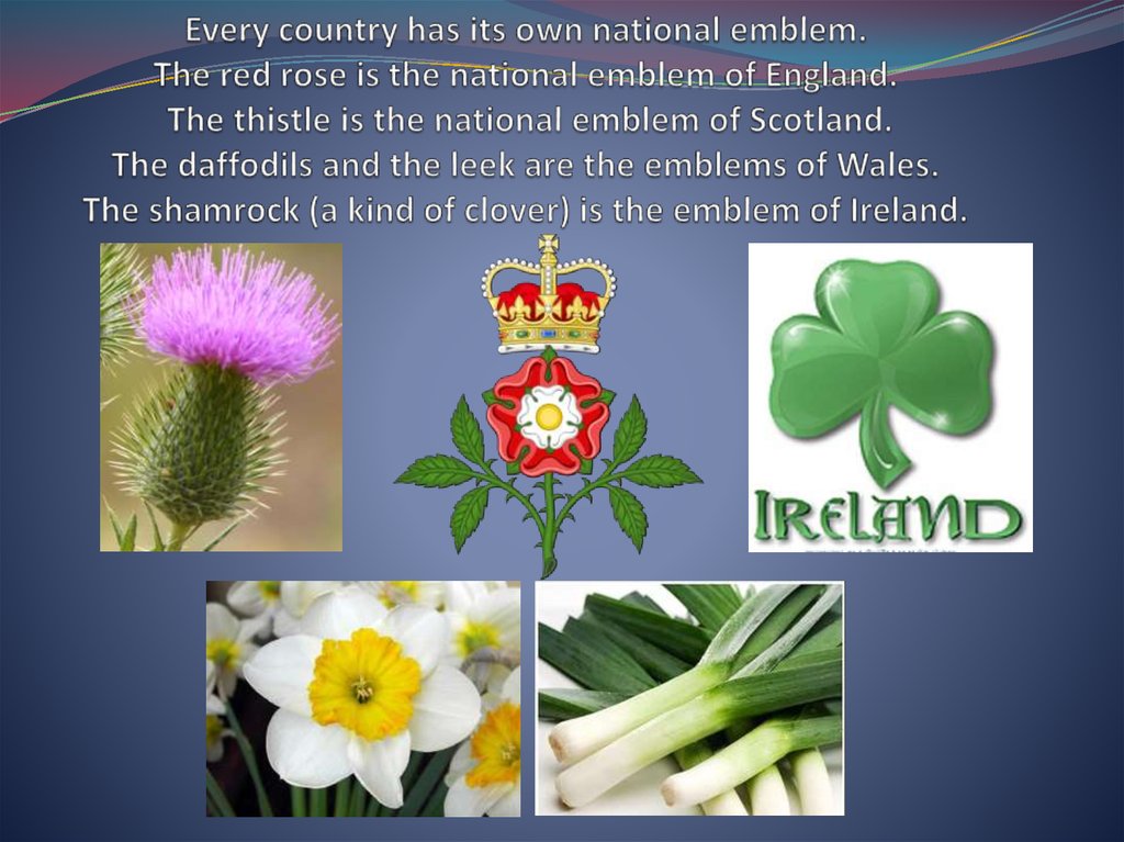Every country has its own national emblem. The red rose is the national emblem of England. The thistle is the national emblem