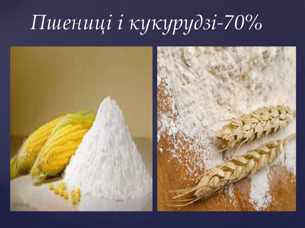 Пшениці і кукурудзі-70%