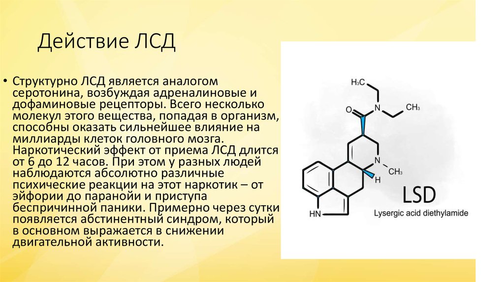 Диета Перед Лсд