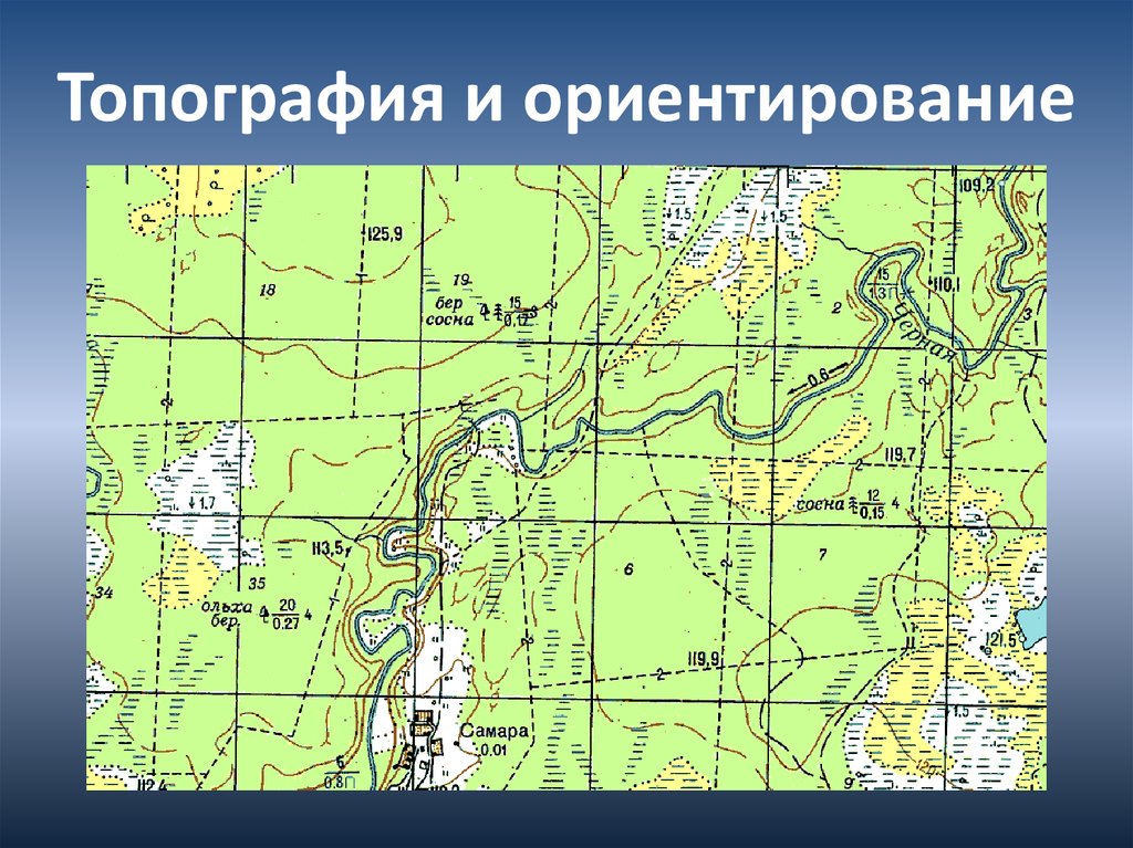 Топографическая карта картинки