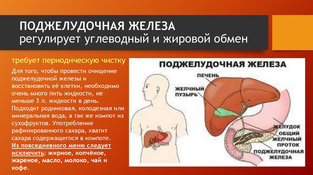 Жировая Поджелудочная Железа Лечение Диета