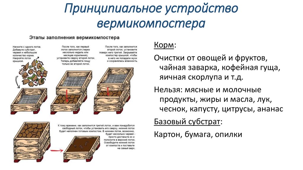 Сколько Червей В Коробке В Магазине