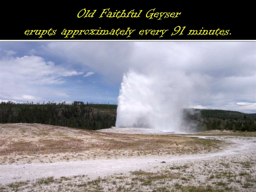 Old Faithful Geyser erupts approximately every 91 minutes.