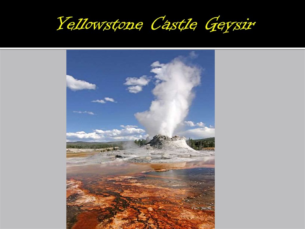 Yellowstone Castle Geysir