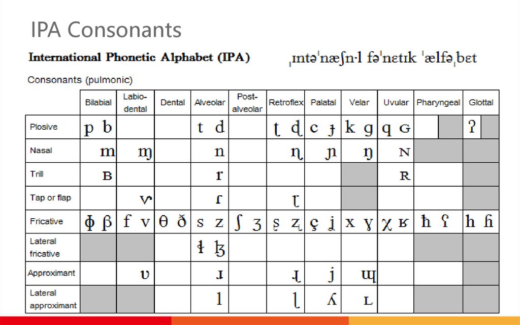 English Consonants In Ipa International Phonetic Alphabet In 2020 8756