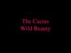 The Cactus Wild Beauty