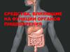 Средства, влияющие на функции органов пищеварения