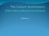 The Culture Assimilators (The Intercultural sensitizer)