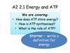 Energy and ATP