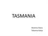 Tasmania is an island in the south of Australia