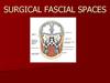 Surgical fascial spaces
