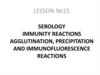 Serology. Immunity reactions agglutination, precipitation and immunofluorescence reactions