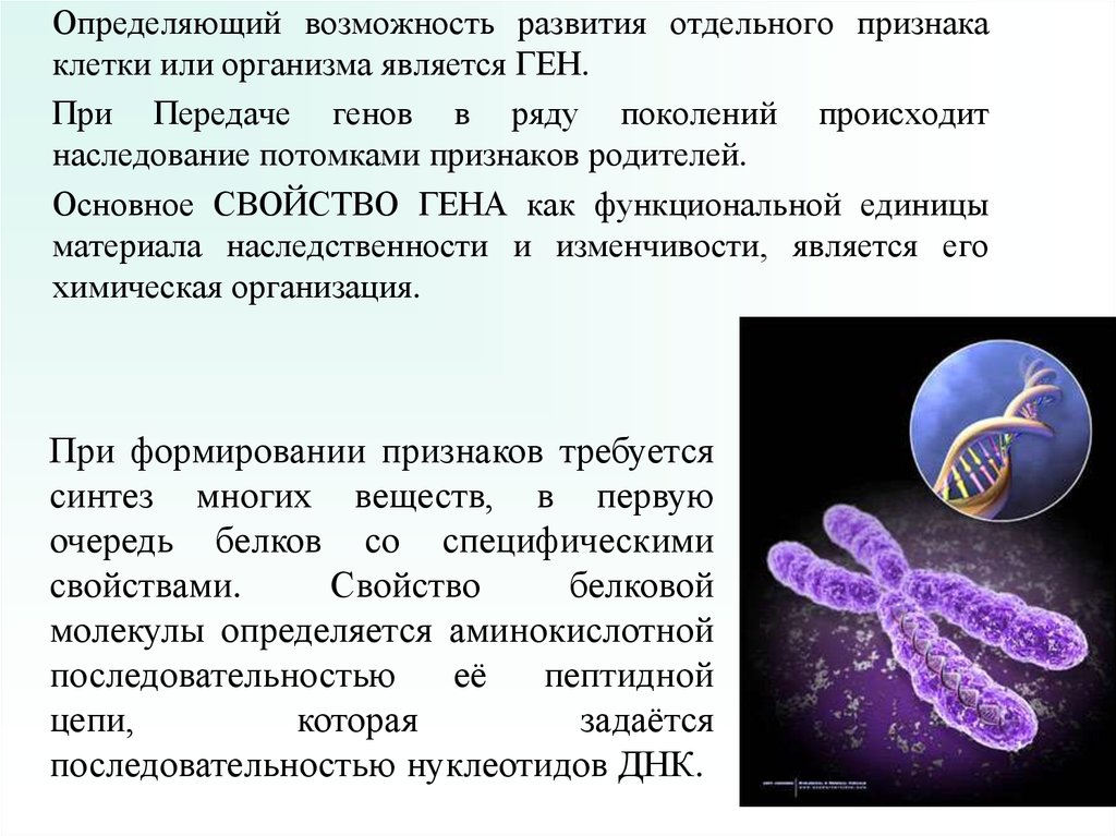 Наследственная информация о признаках