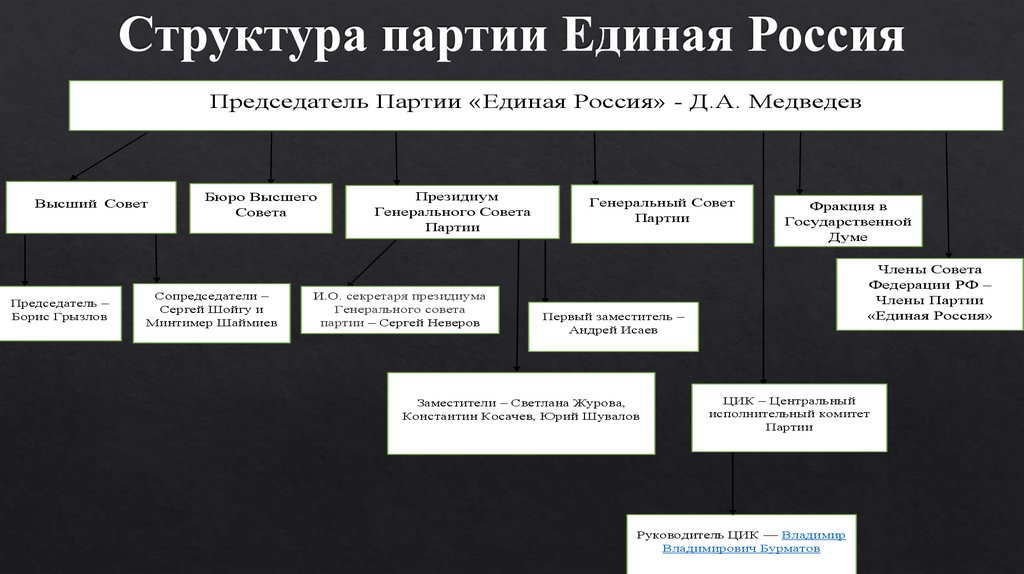 Структура партии лдпр схема