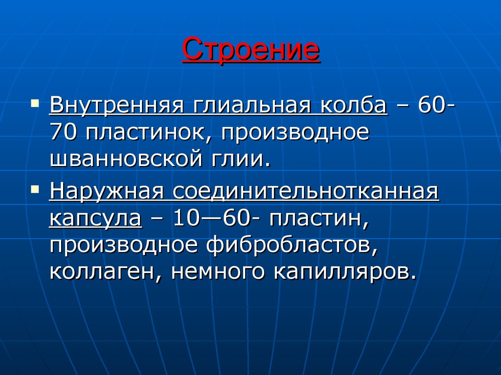 Внутренняя n. Глиальная колба. Производная пластинка. Винил производные. Внутренняя глиальная колба характеристика.