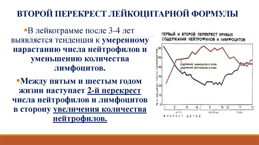 Схема физиологического перекреста лейкоцитарной формулы у детей