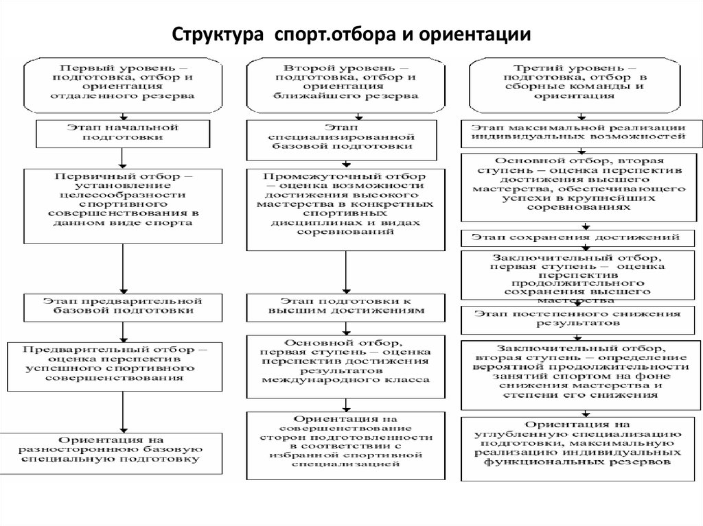 Структура ориентации. Схема этапов спортивного отбора. Этапы спортивного отбора таблица. Отбор и ориентация в процессе спортивной подготовки. Критерии спортивного отбора.