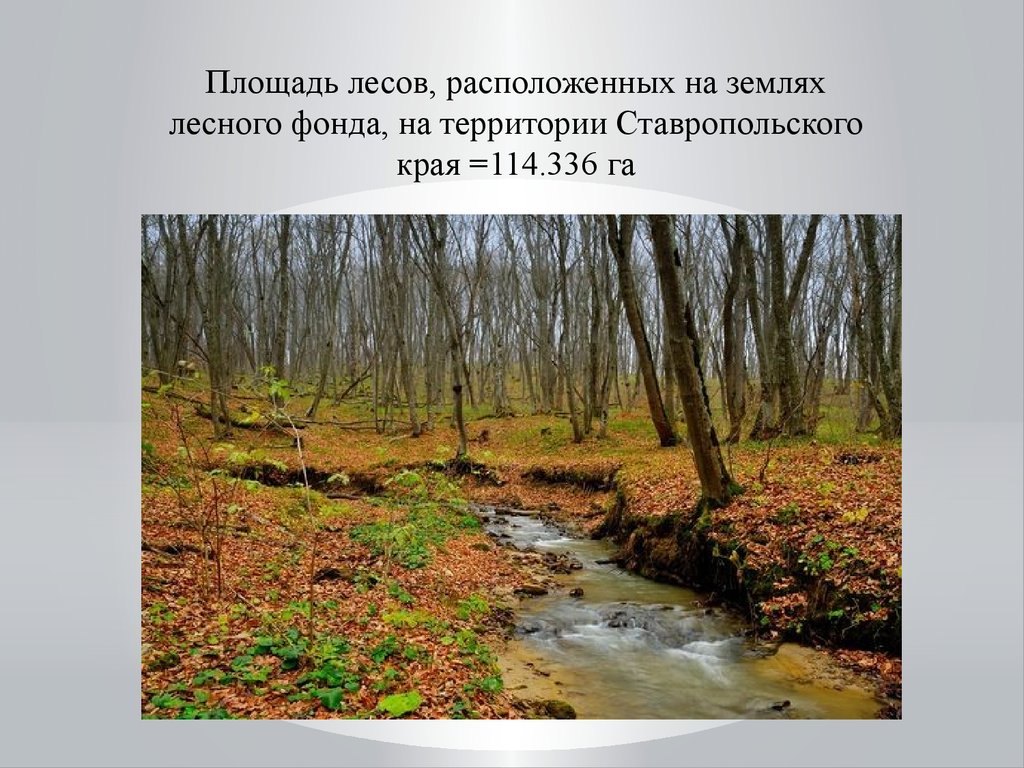 Лесные и биологические ресурсы Ставропольского края - презентация онлайн