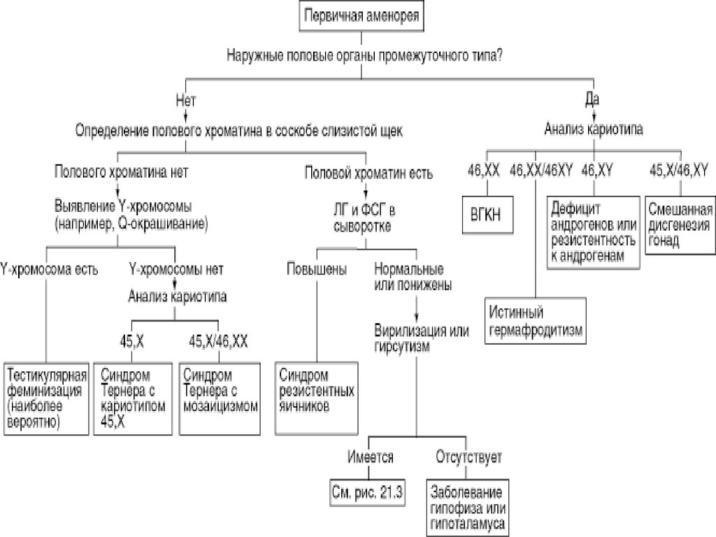 Аменорея что. Алгоритм обследования при первичной аменорее. Алгоритм диагностики первичной аменореи. Первичная аменорея диагностический алгоритм. Алгоритм диагностики вторичной аменореи.