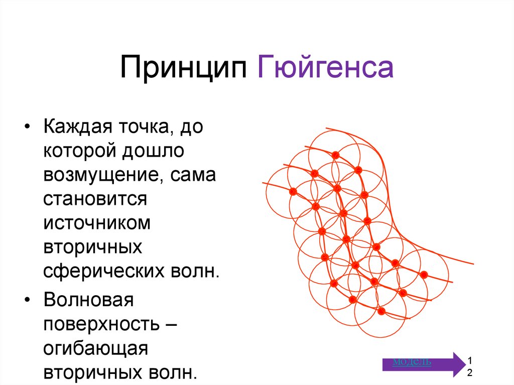 Презентация скорость света принцип гюйгенса закон отражения света 11 класс